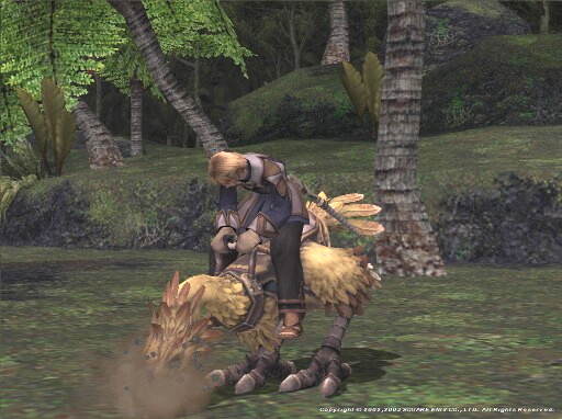 Chocobo 򷡤ФΥ
Fade फȤʤǤ